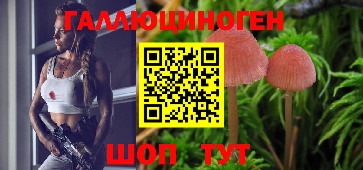 Химки  Галлюциногенные грибы GOLDEN TEACHER  Галлюциногенные грибы мицелий  Вход с VPN 