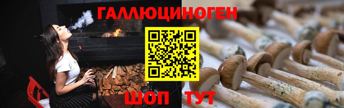 Псилоцибиновые грибы мухоморы Химки
